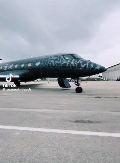 The Gulfstream plane features a wrap paying homage to Jordan's Nike shoes