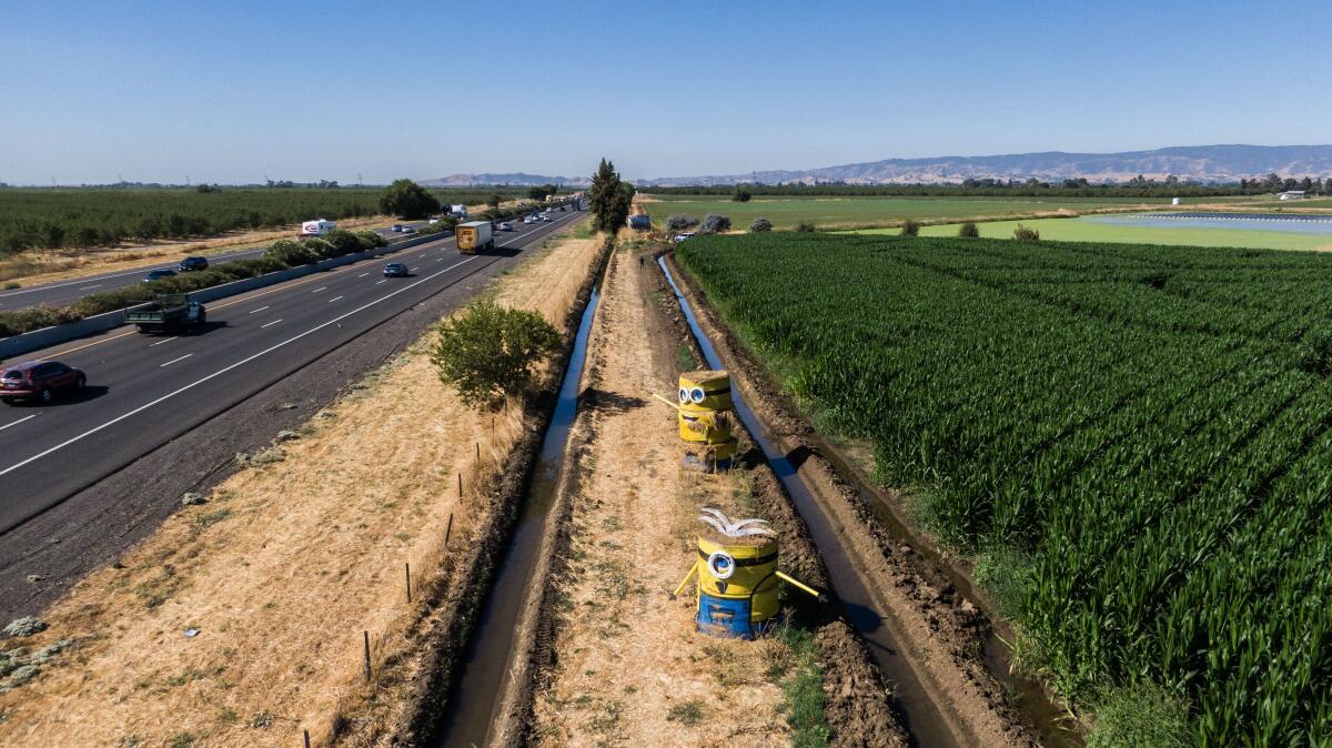 Giant minions created from hay bales stand alongside a freeway. 