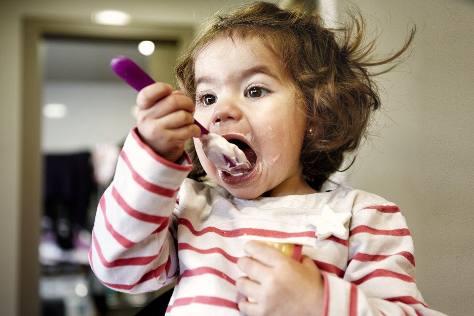 Flavoured yoghurts and wholegrain breakfast cereals were the most common UFPs for tots to eat