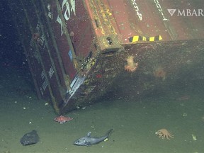 This image from video provided by the Monterey Bay Aquarium Research Institute shows fish and other sea life around a shipping container lost from the cargo vessel Med Taipei during a storm in February 2004, found around 1,280 meters (4,200 feet) below the surface of the Monterey Bay National Marine Sanctuary in California on Dec. 12, 2013. (MBARI via AP)