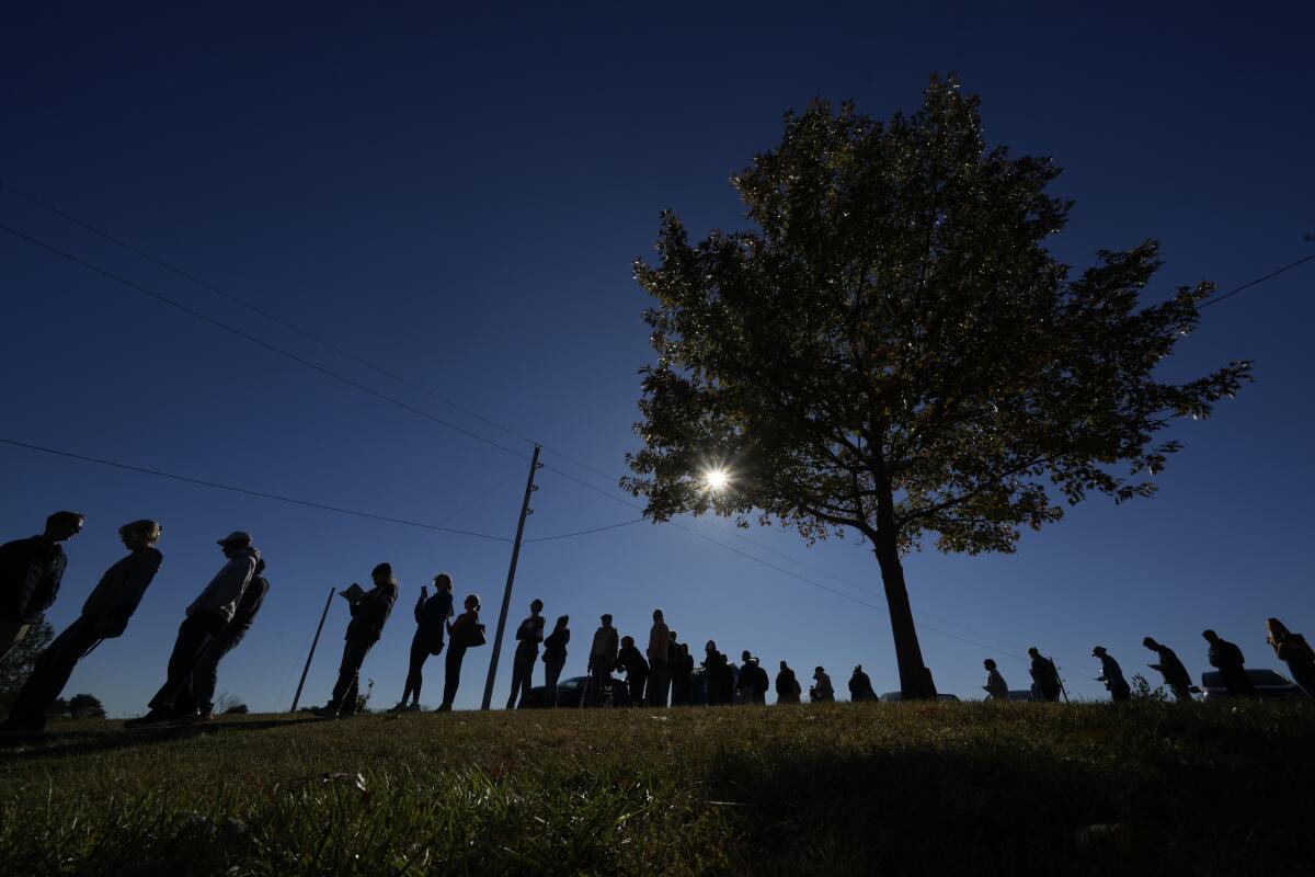 People wait in line to cast their ballots at an early voting location.