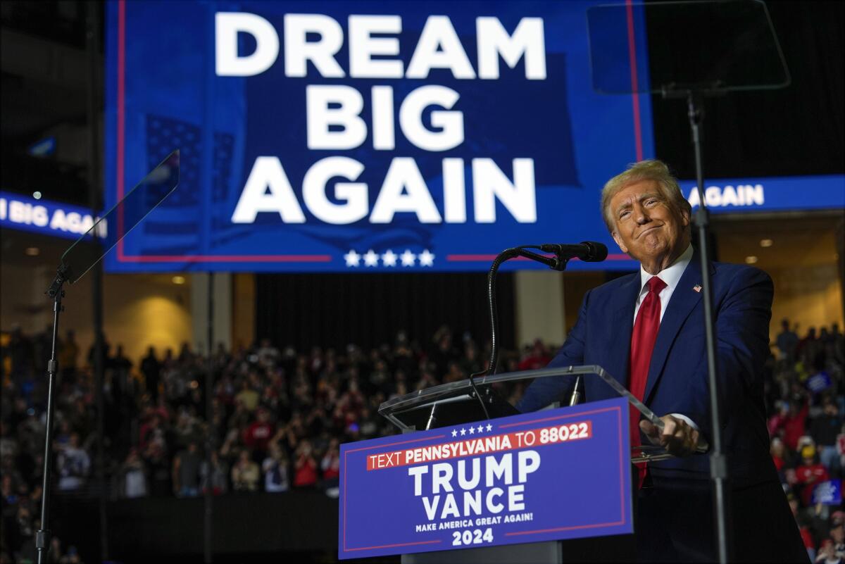 Republican presidential nominee President Donald Trump speaks at a campaign rally.