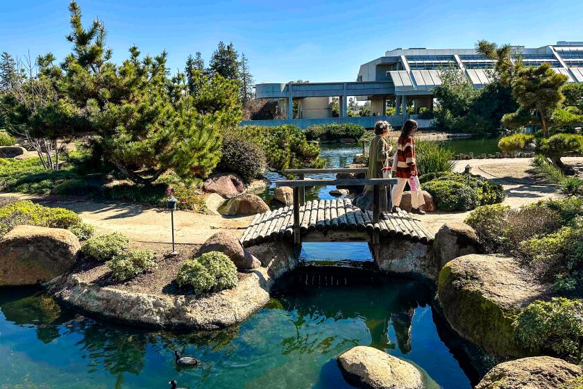 A photograph of the Japanese Garden for Inland Water Walks.