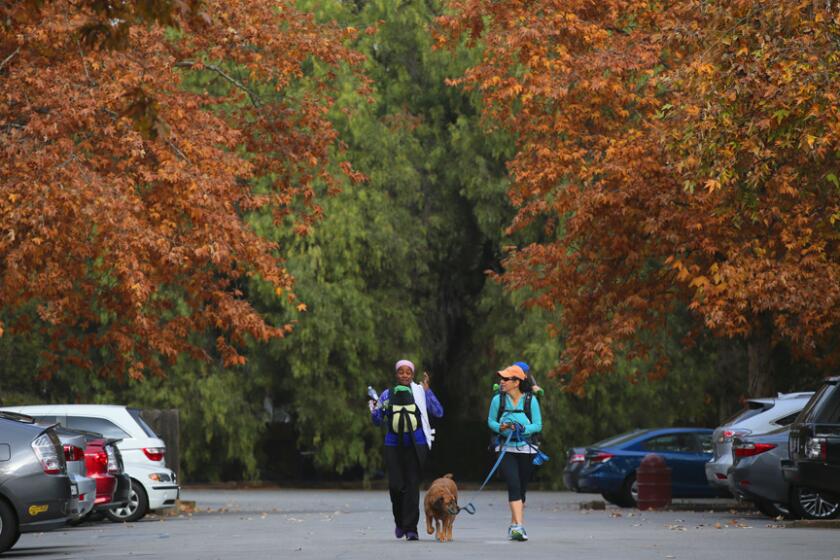 Hikers leave the parking lot at Fryman Road and Laurel Canyon Boulevard to start on the Betty B. Dearing Trail in Fryman Canyon. In the Studio City area, try this Fryman Canyon path that was once named the best running trail in the city.