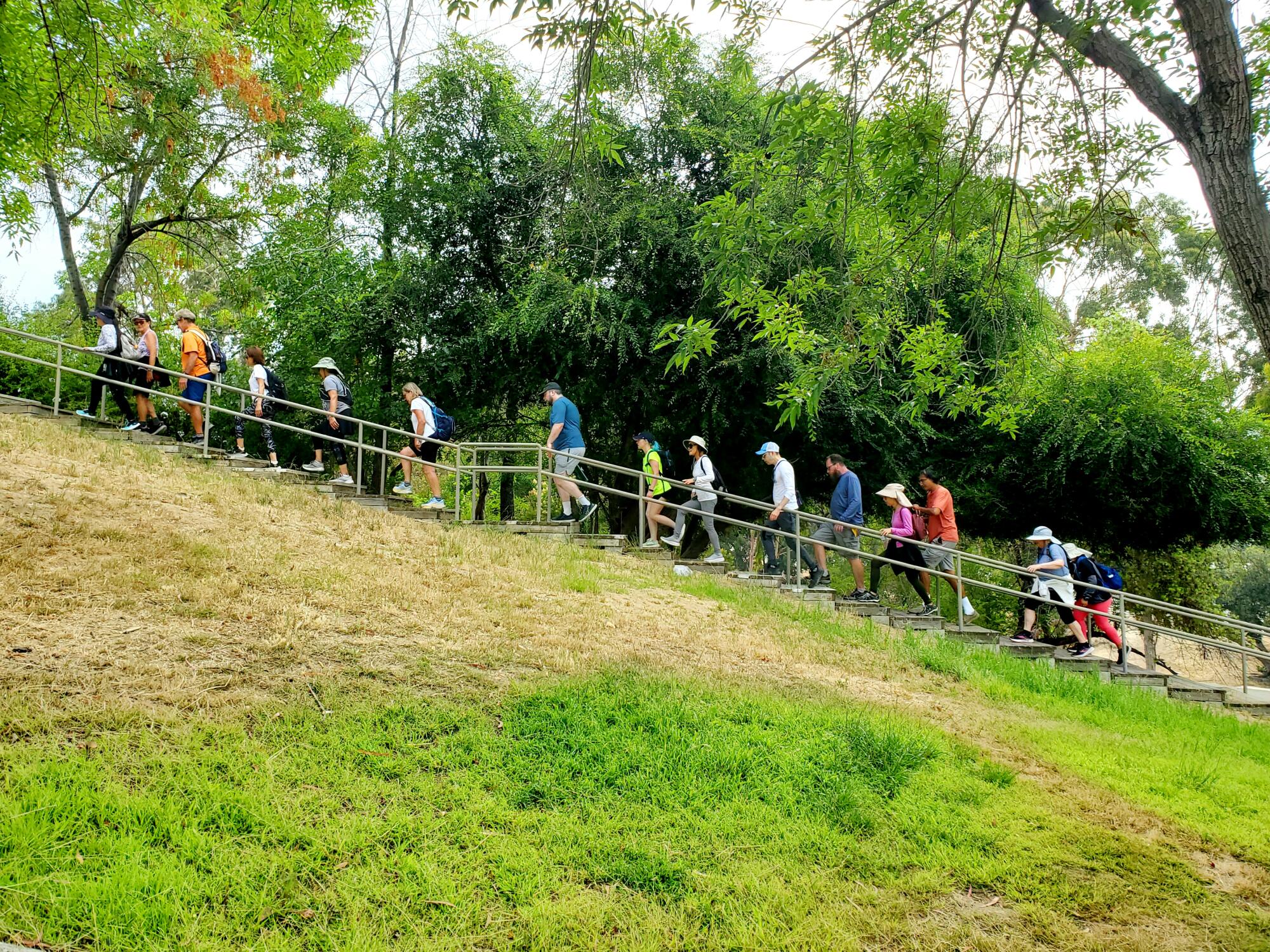 SoCal Stair Climbers members walk up stars in a park