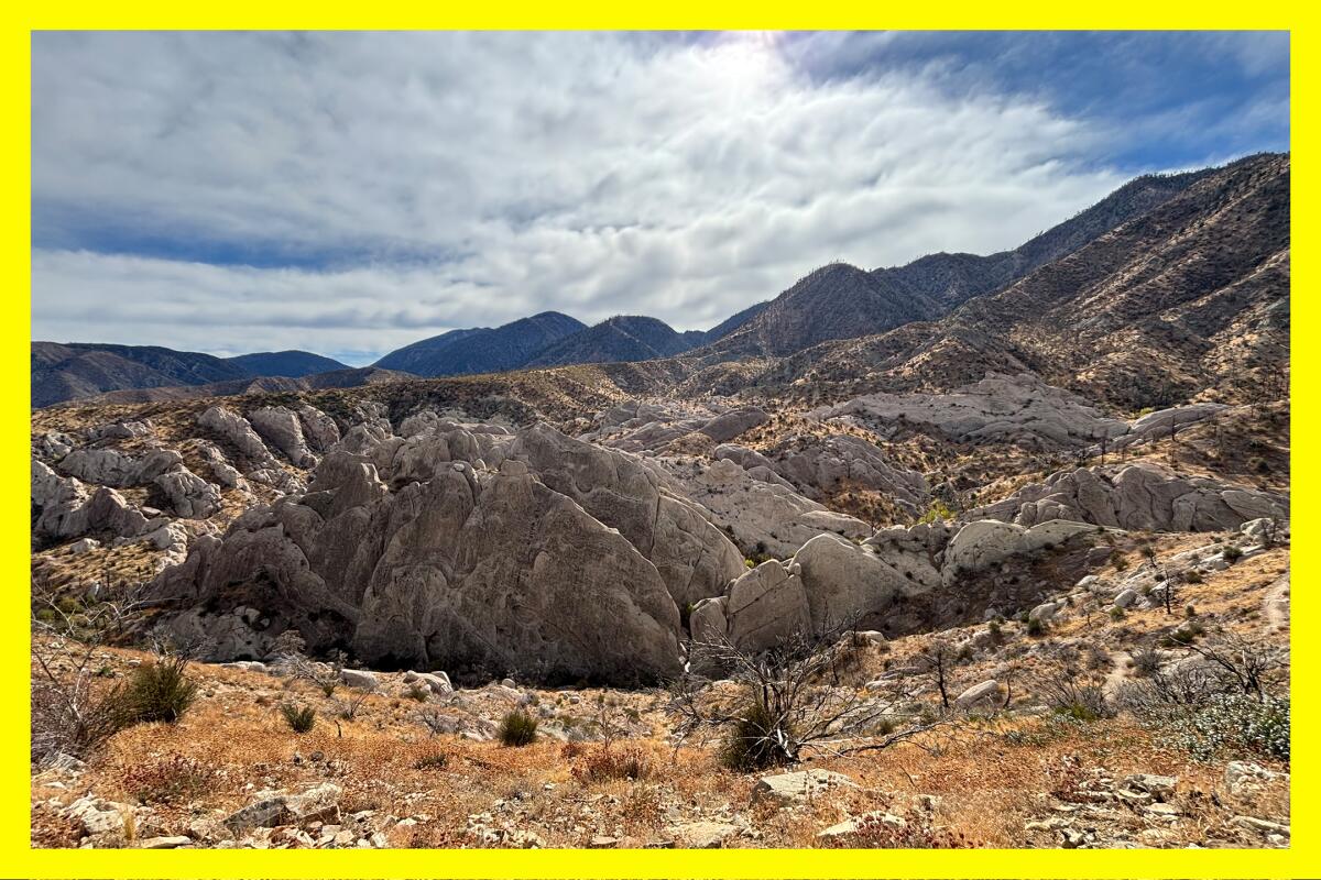 A view of massive rocks with deep crevices made by hundreds of years of weather and movement.