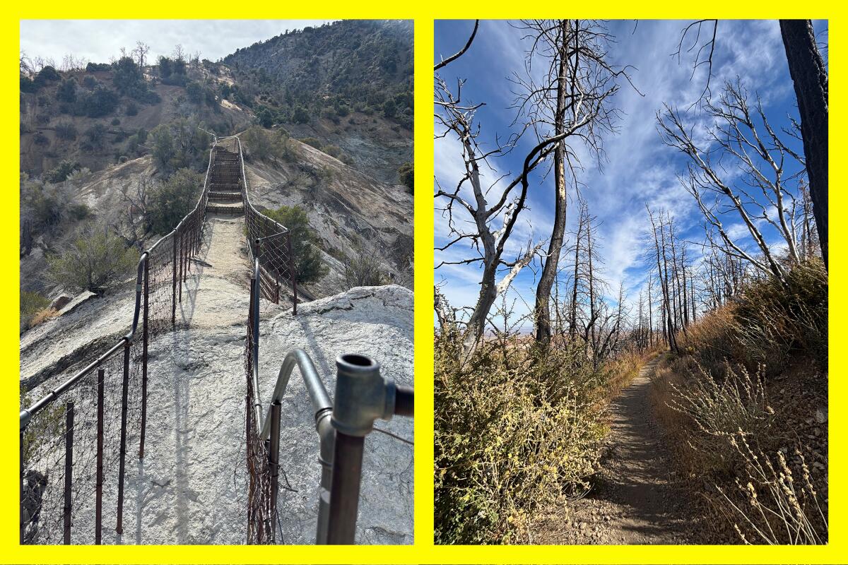 A narrow, rail-lined path. Remnants of the 2020 Bobcat fire in the Devil’s Punchbowl Nature Area.