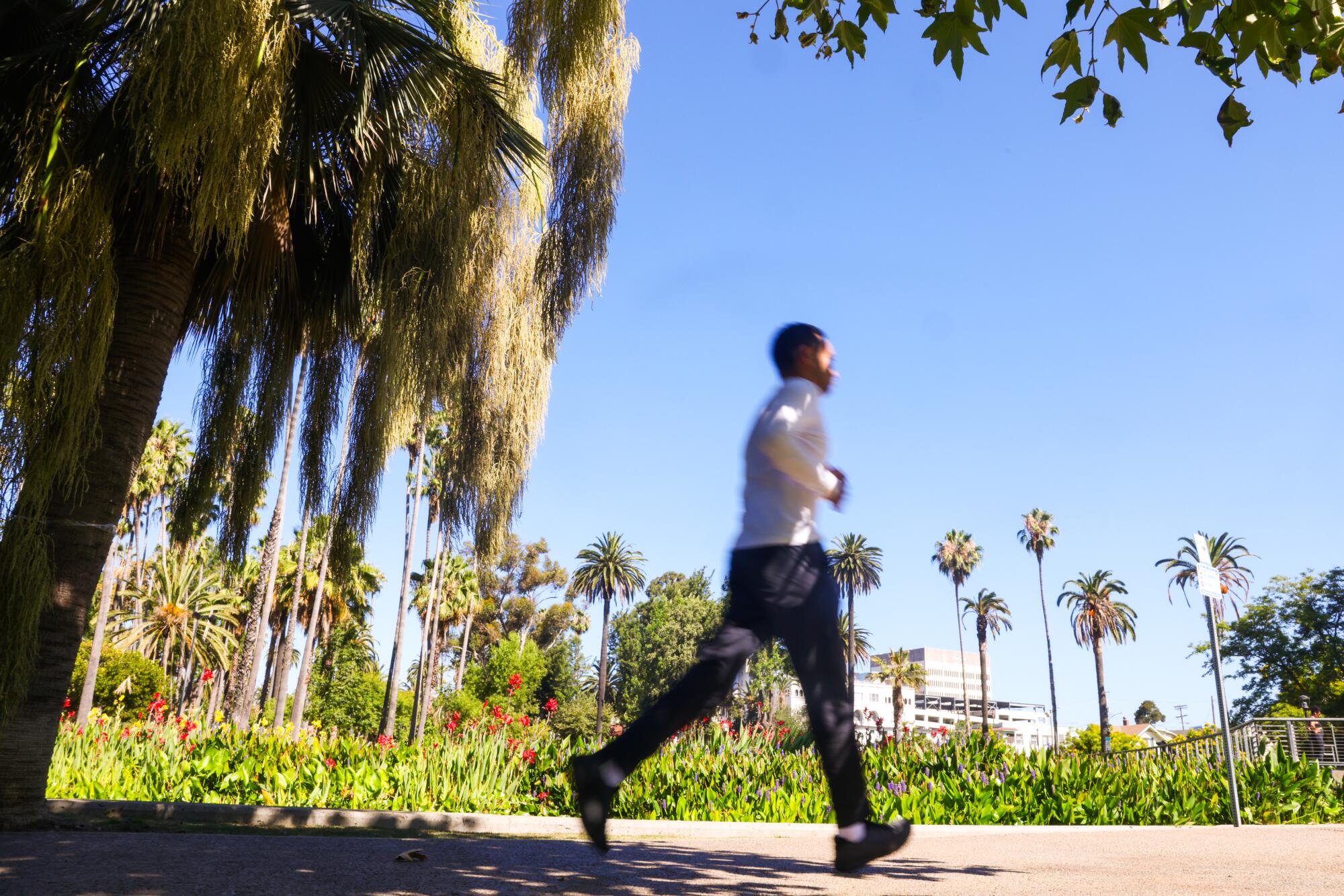 People walking around Echo Park Lake in Los Angeles