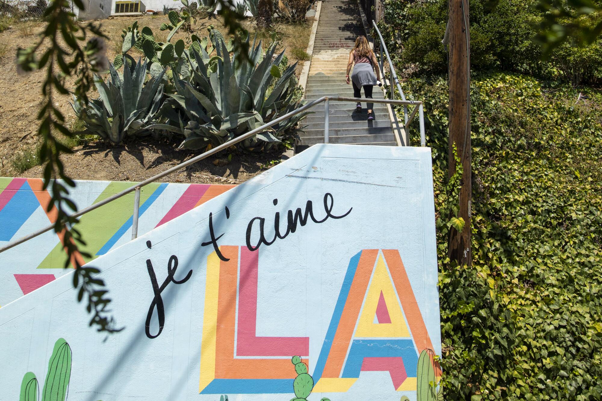 The Swan Stairs zig-zag up the hillside from Westerly Terrace to Swan Place in Silver Lake.