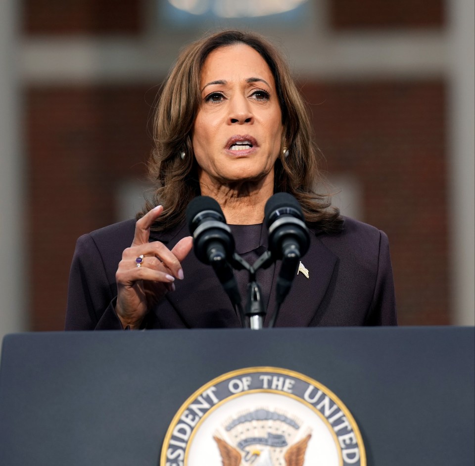 Kamala Harris who was defeated in the US Presidential election by Donald Trump after losing working class votes