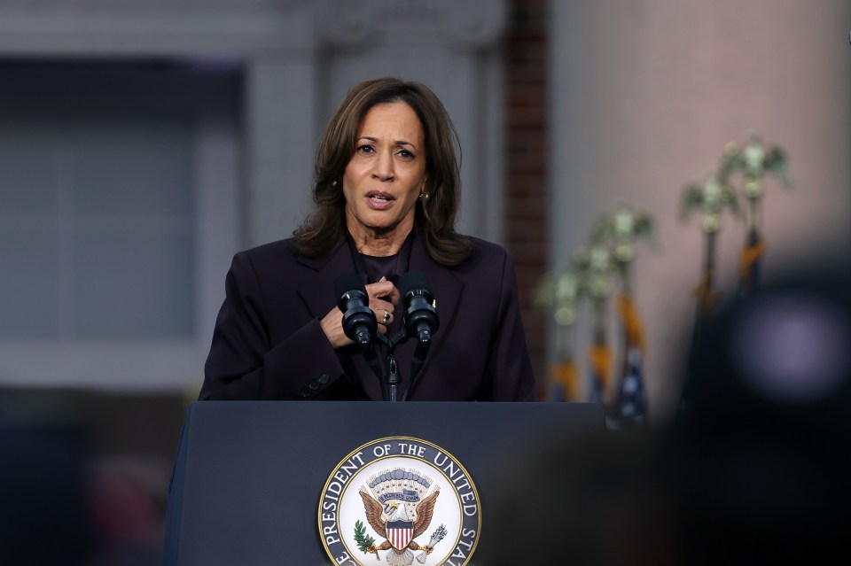 Bruen said the blame for Kamala Harris' defeat lies 'squarely' with Biden