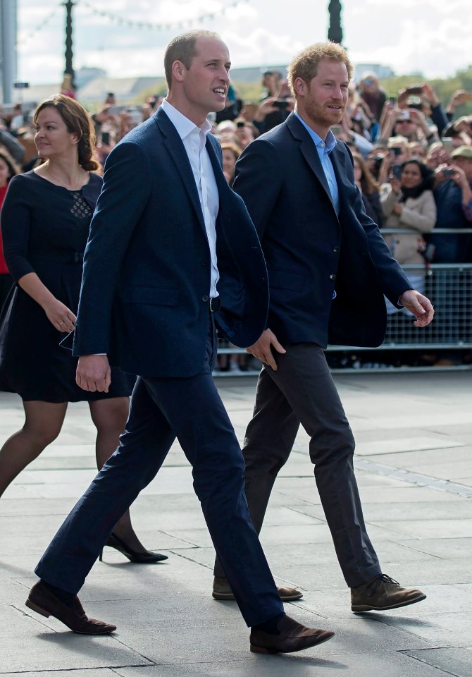 Prince William and Prince Harry celebrated World Mental Health Day in 2016