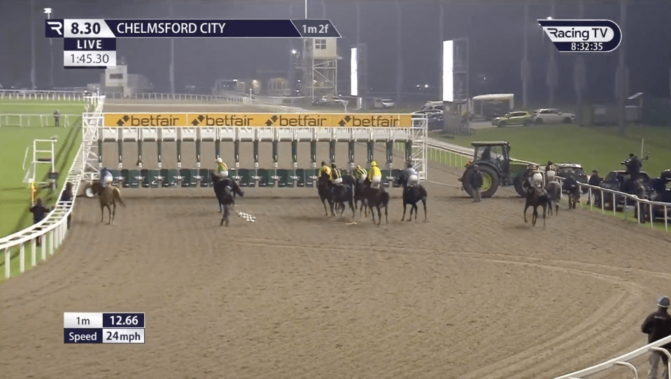 Jockeys managed to stop their thundering horses and avoid a potential catastrophe