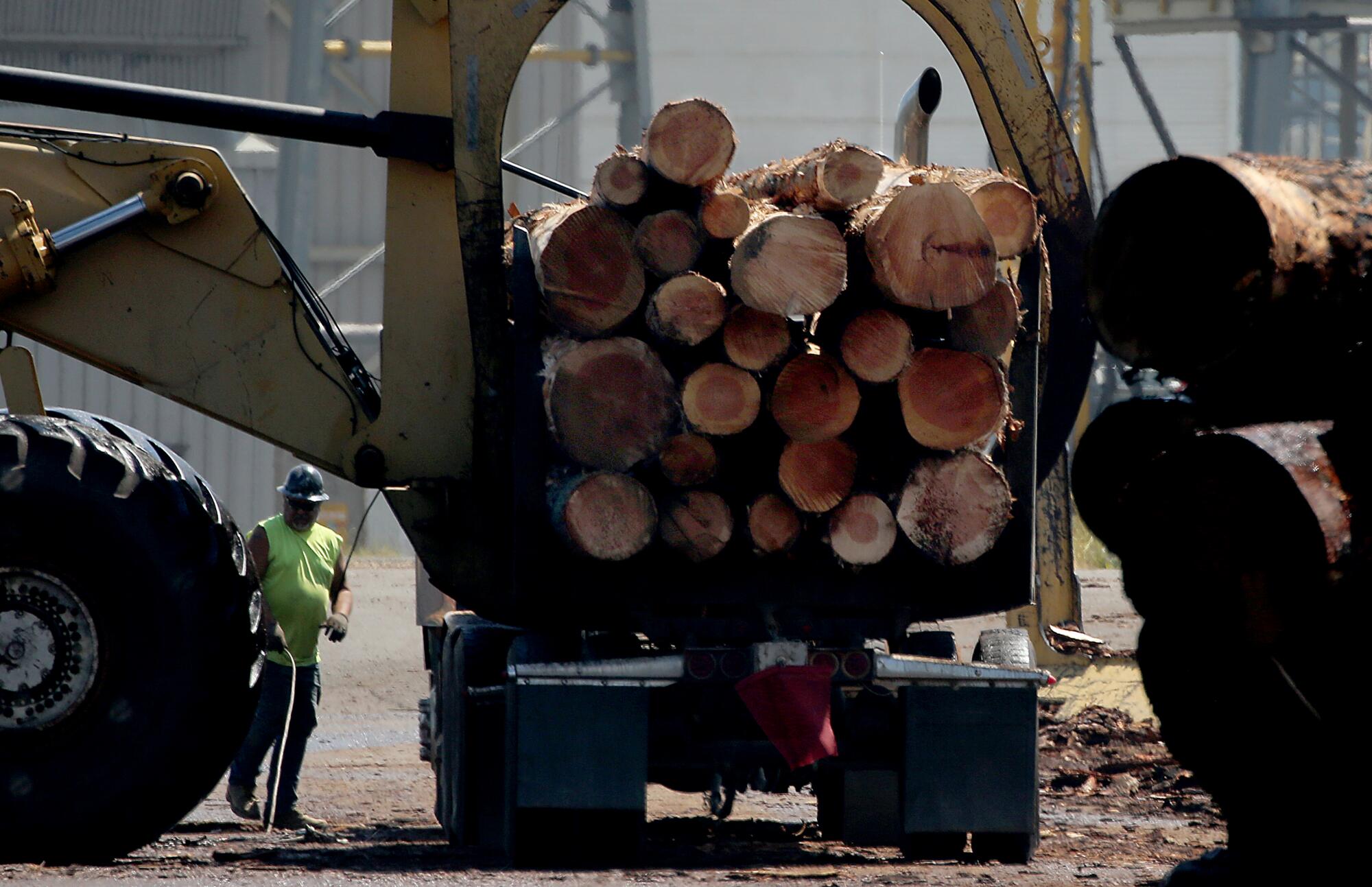 Logs are loaded onto the bed of a truck. 