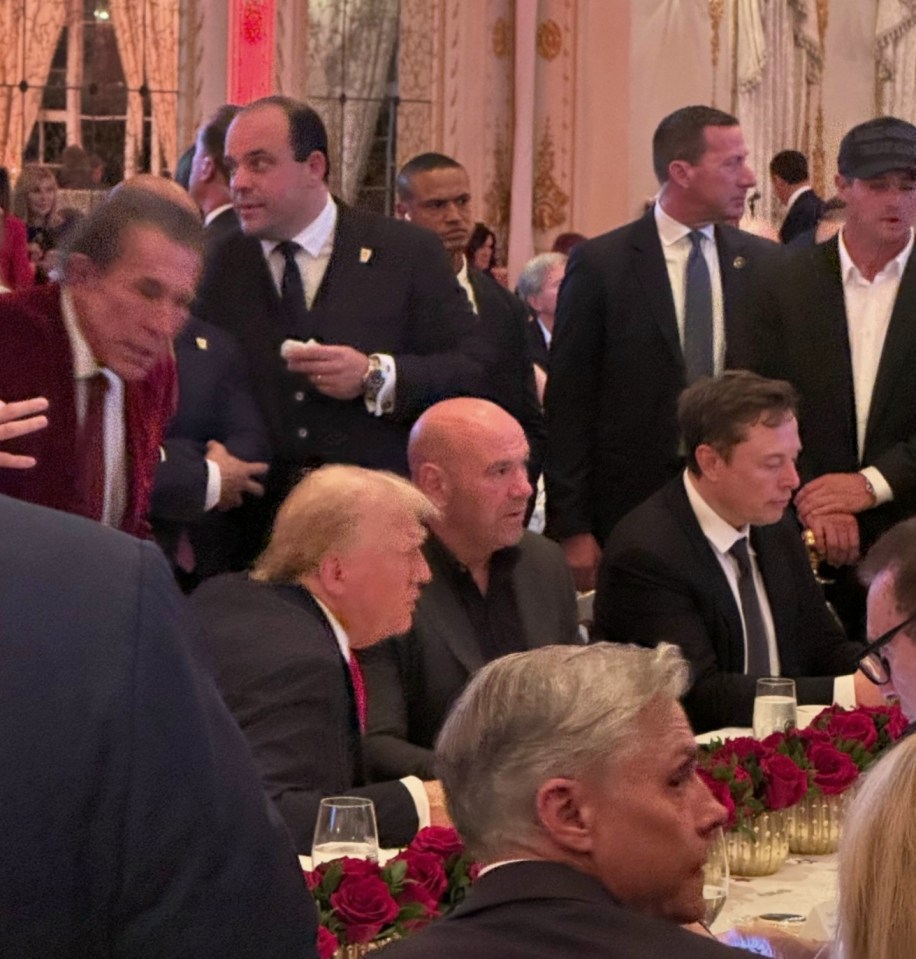 Trump snapped watching the votes being counted with Musk and Dana White