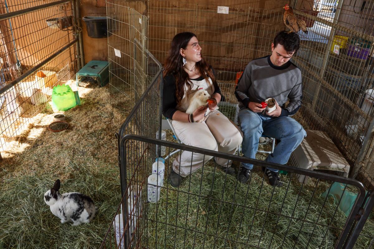 Two people sitting with animals