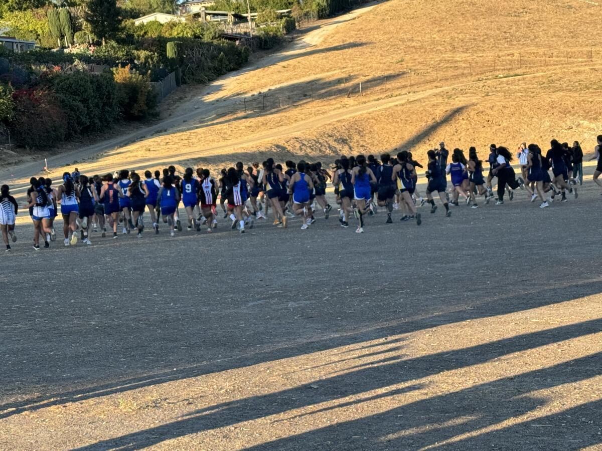 Runners take off Saturday morning at Pierce College at the City Section cross-country prelims.