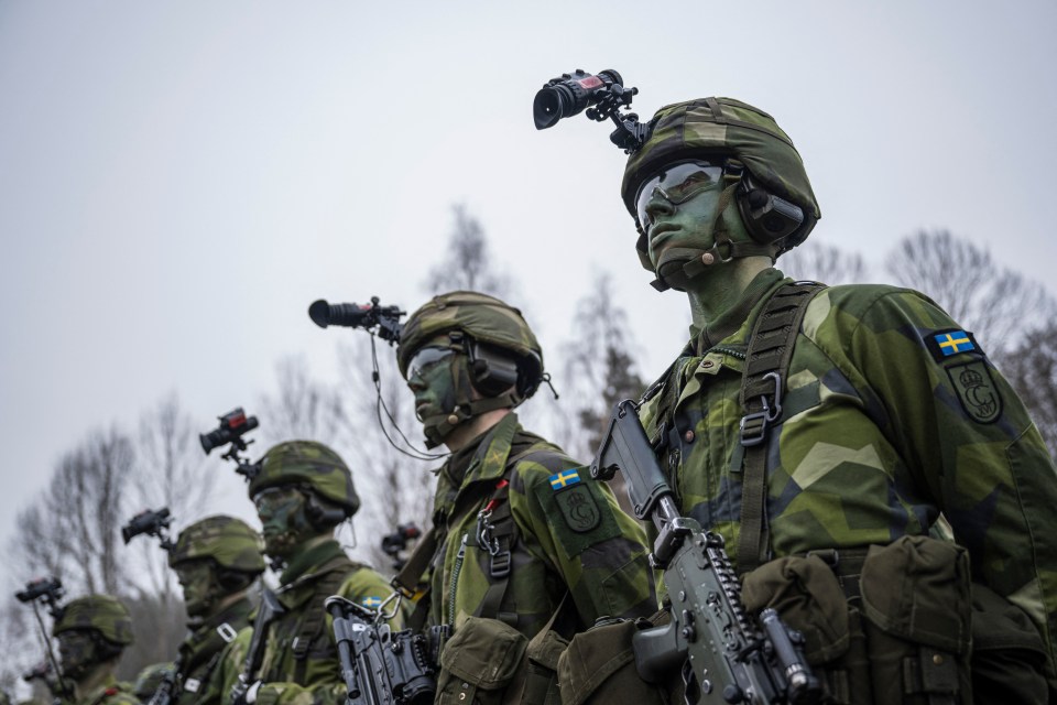 Soldiers from the 13th counter intelligence battalion, 2nd reconnaissance platoon of the Swedish Armed Forces, participate in military exercise near Stockholm