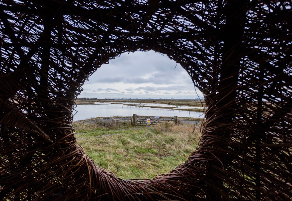 It was unveiled at Earnley Viewpoint at Medmerry Nature Reserve