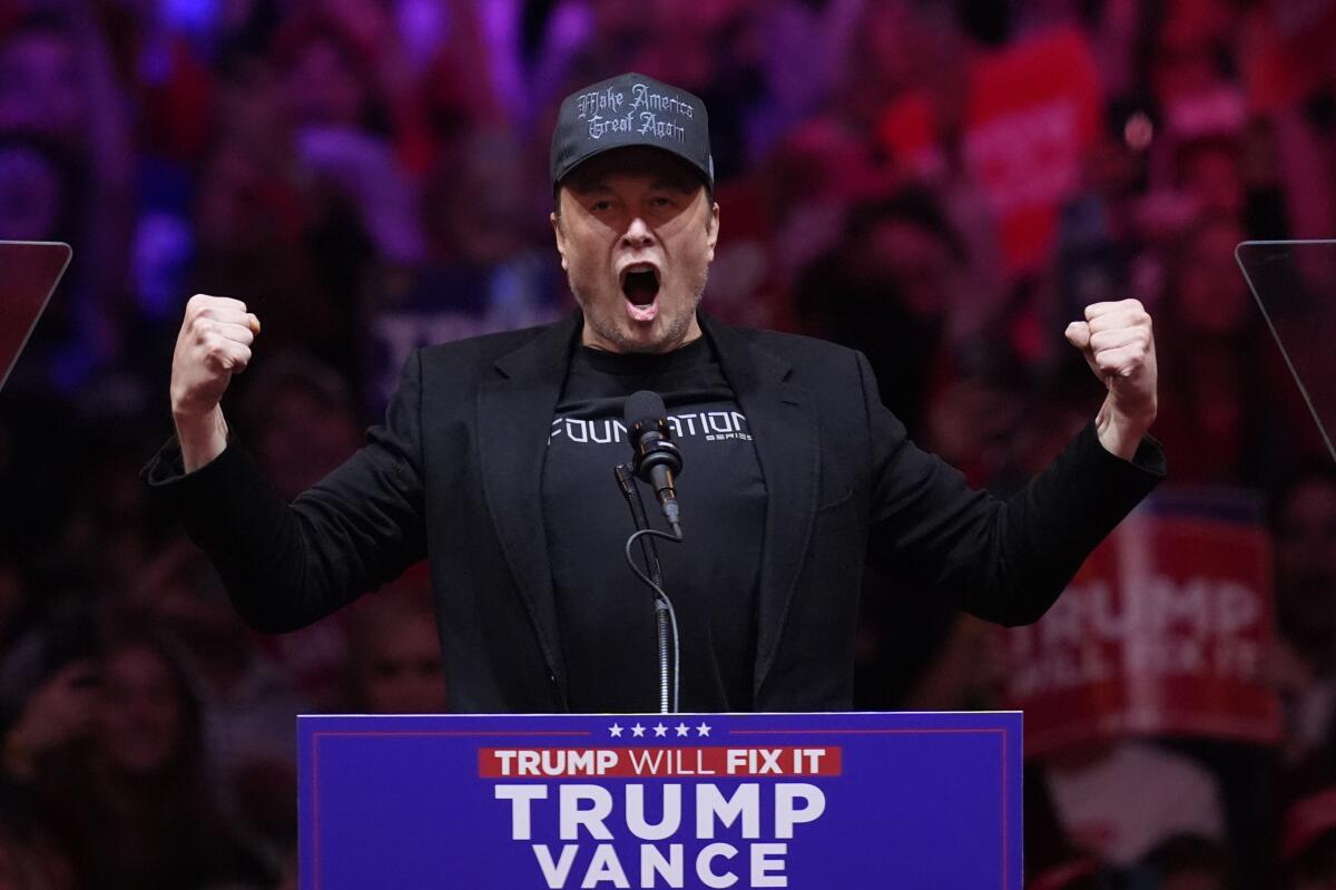 Elon Musk speaks at a Donald Trump campaign rally at Madison Square Garden in New York in October.