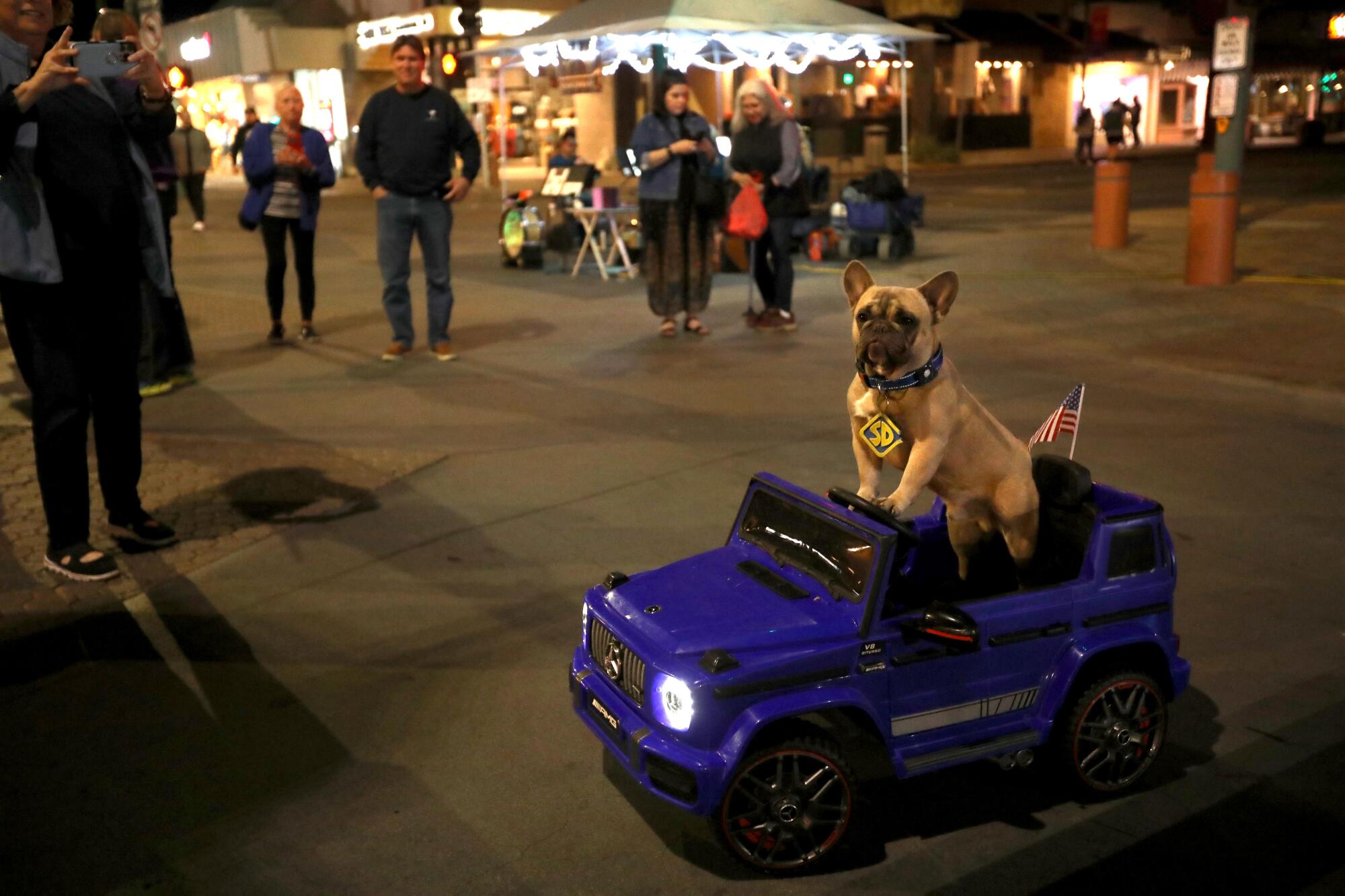 A bulldog rides in a motorized car at a market.