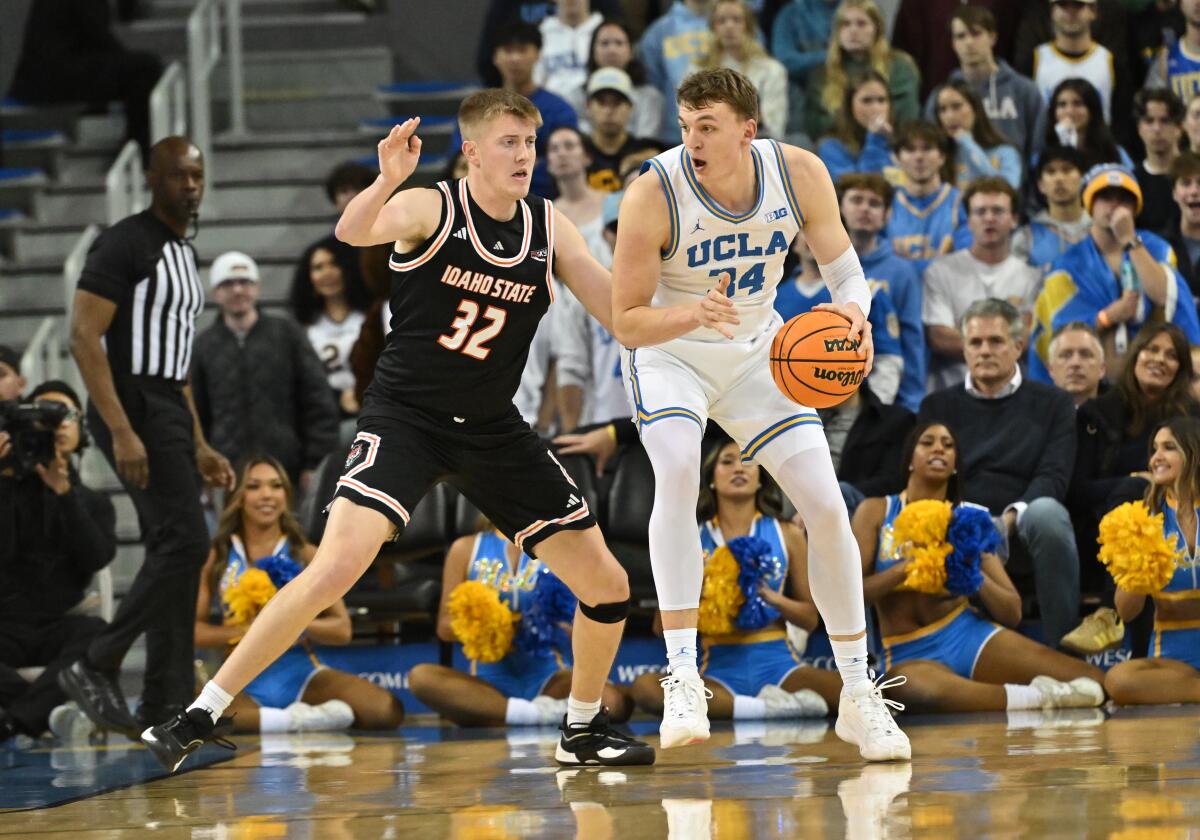 UCLA forward Tyler Bilodeau dribbles with his back to the basket, working to get an open shot against Idaho State