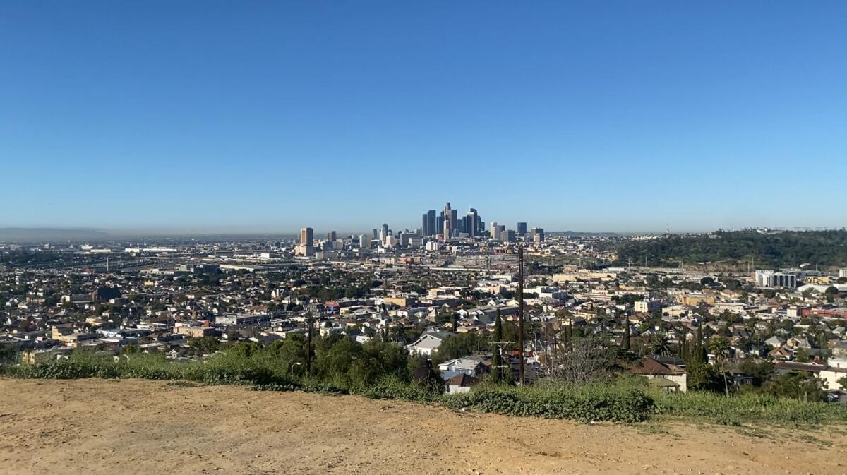 Reader Thomas Nagano submitted this photo from his Hill Top walk.