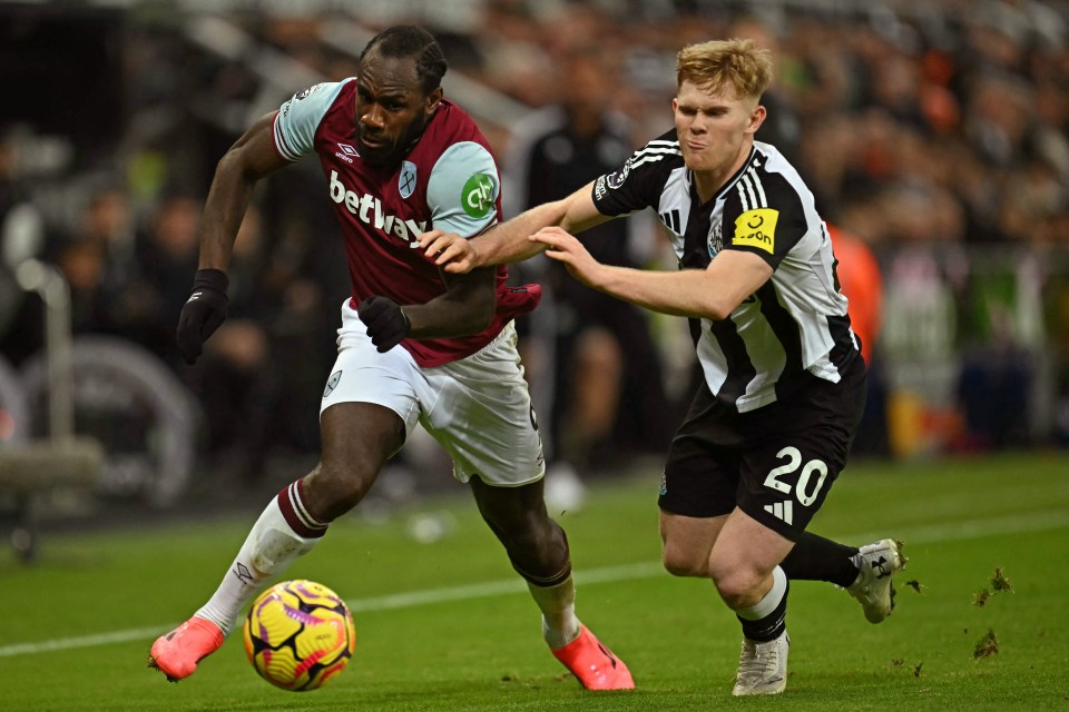 Lewis Hall  tries in vain to get shirty with the Jamaica frontman