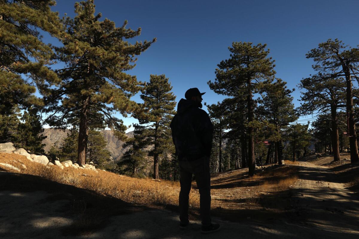 A human is silhouetted against pine trees and the sky.