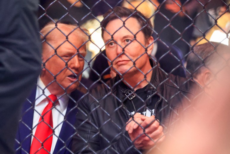 US President-elect Donald Trump (L) and Tesla and SpaceX CEO Elon Musk watch a fight during UFC 309 at Madison Square Garden in New York, on November 16, 2024. - US President-elect Donald Trump was greeted by chanting fans as he attended the Ultimate Fighting Championship heavyweight bout at New York's Madison Square Garden on November 16.Trump entered the arena shortly before the start of the main card accompanied by UFC chief executive Dana White, who was a prominent backer during his election campaign. Several political allies of Trump were also in attendance including entrepreneurs Elon Musk and Vivek Ramaswamy, who have been asked by Trump to lead efforts to cut government inefficiency. (Photo by Kena Betancur / AFP)