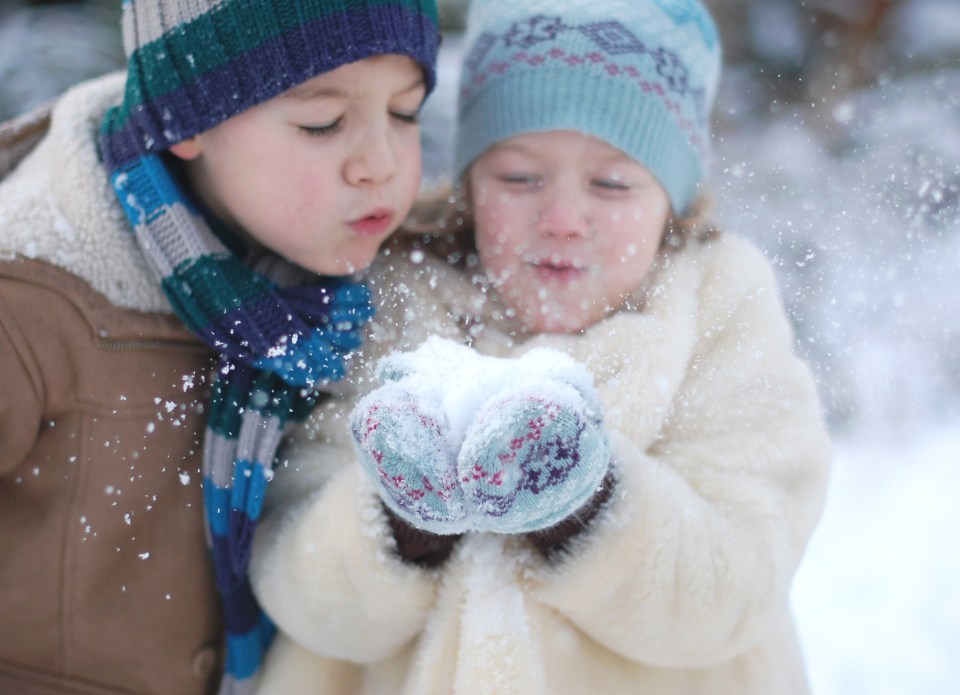 Amazon shoppers heaped on the praise for a budget buy designed to keep your hands warm in the cold weather (stock image)