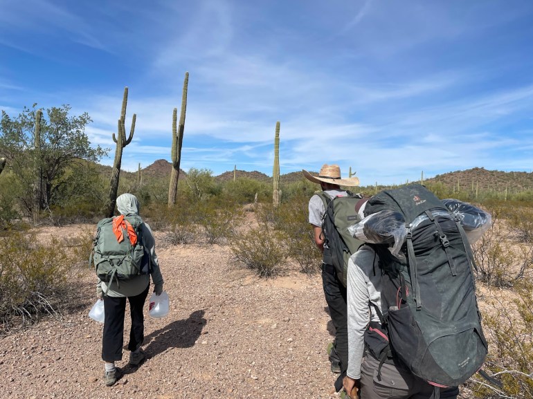 Volunteers trek through the Sonoran Desert