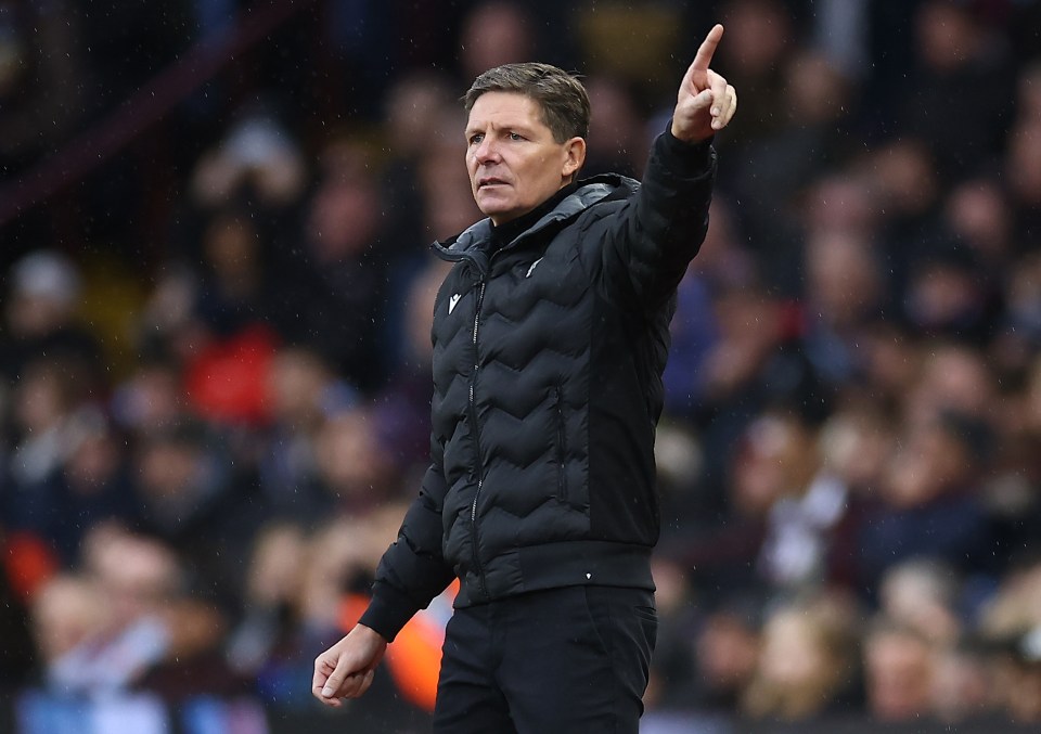 Crystal Palace manager Oliver Glasner hopes to bring in reinforcements in January