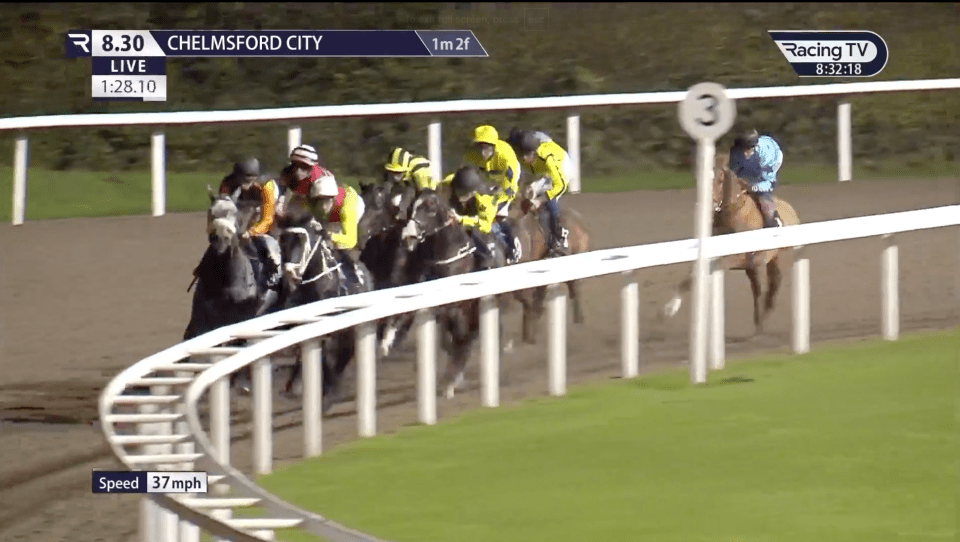 The nine-horse 20:30 race at Chelmsford on Saturday was initially going off without a hitch