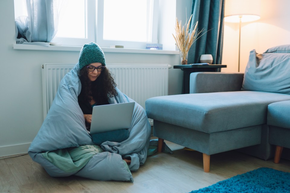 A woman revealed the hack she uses to avoid turning on her heating while working from home (stock image)