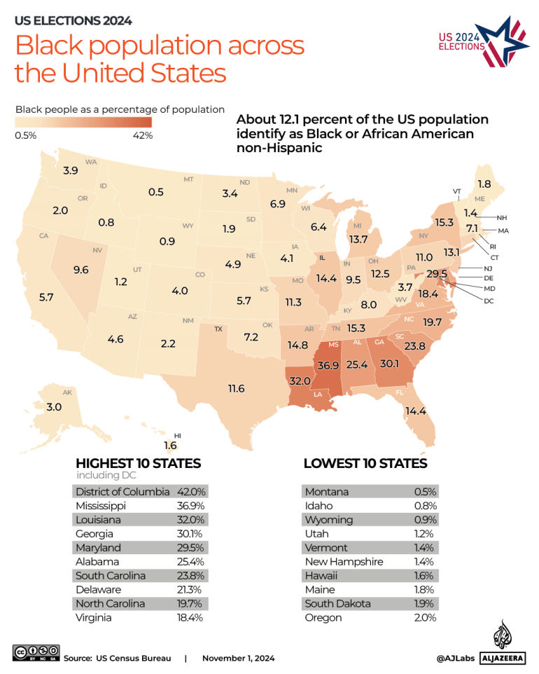 INTERACTIVE-US-ELECTION-Population of people who identify as black -OCT14-2024-1730614052