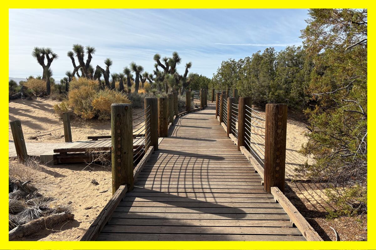 The trails through Prime Desert Woodland Preserve feature sandy paths and wood bridges over a gentle landscape.