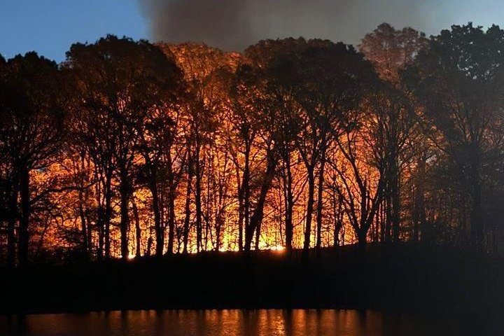 A forest fire is pictured in Prospect Park, Brooklyn, in a photo shared online by the FDNY. Photo courtesy of FDNY/X