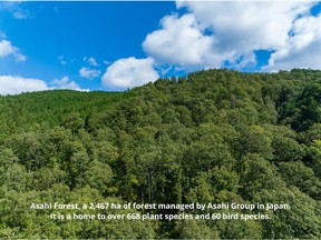 Asahi Forest, a 2,467 ha forest managed by Asahi Group in Japan. It is a home to over 668 plant species and 60 bird species.