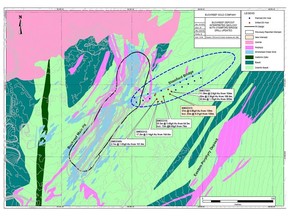 Buckreef Gold Property Showing Location of Latest Drill Hole BMDD315 Among Previous Results Along Stamford Bridge Zone