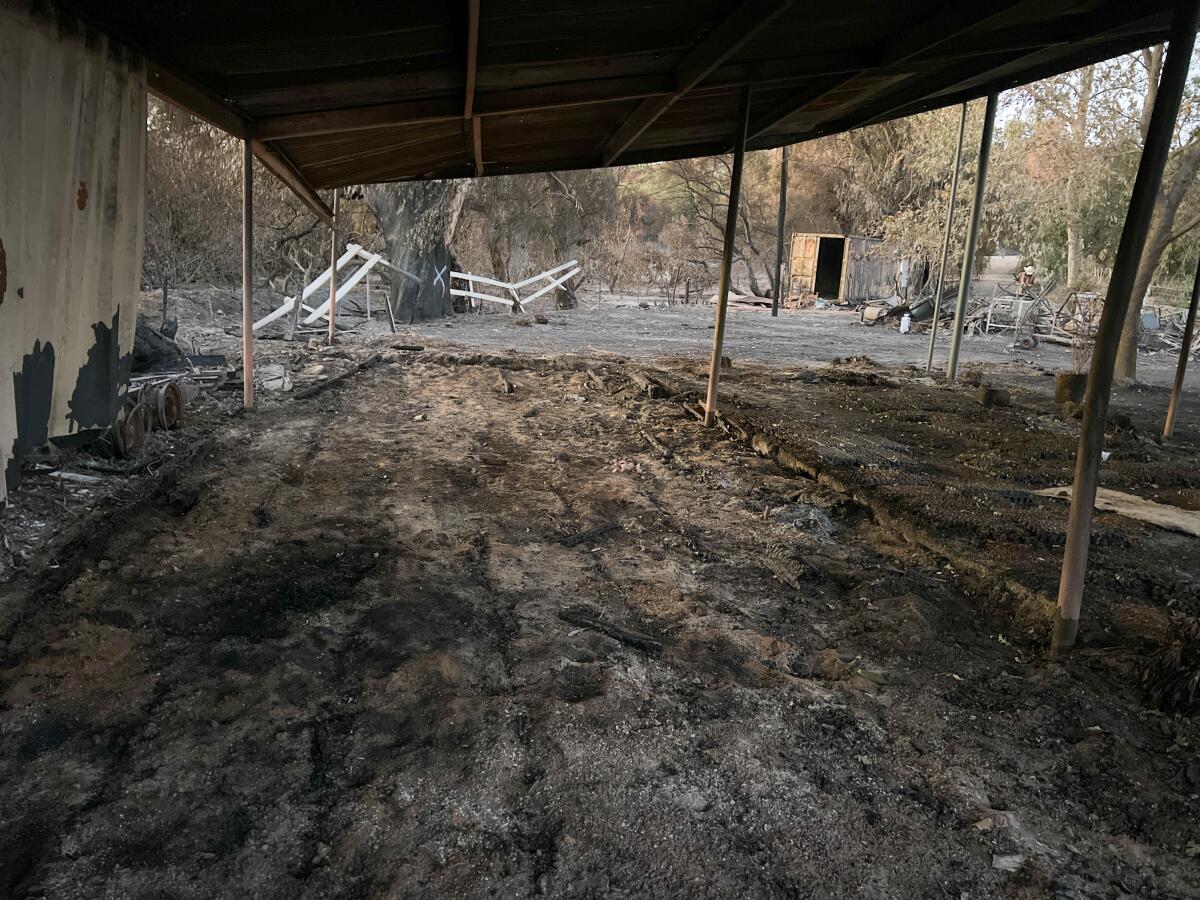 A shelter badly burned and leaning, covering an area of soot and dirt.