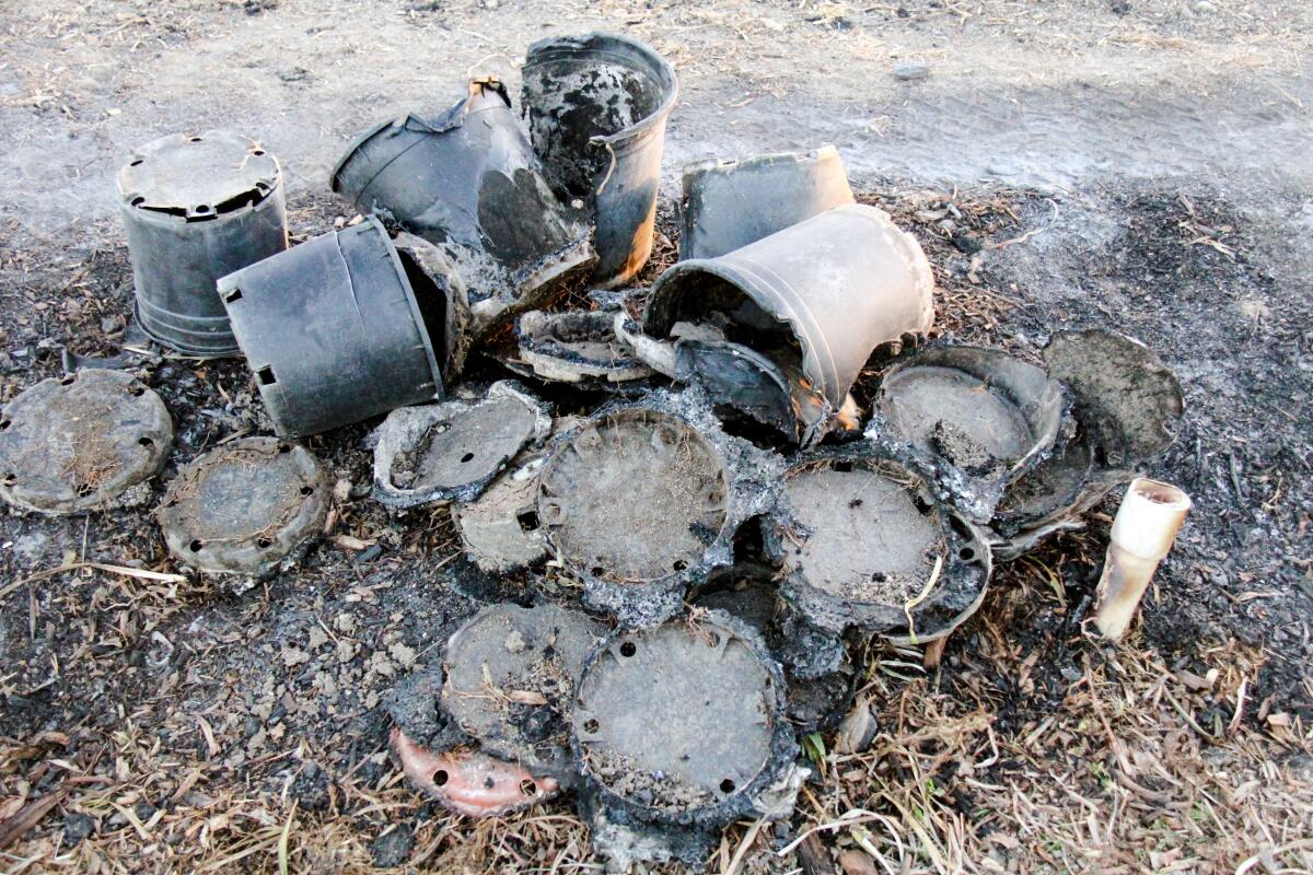 A pile of melted black plastic nursery pots 