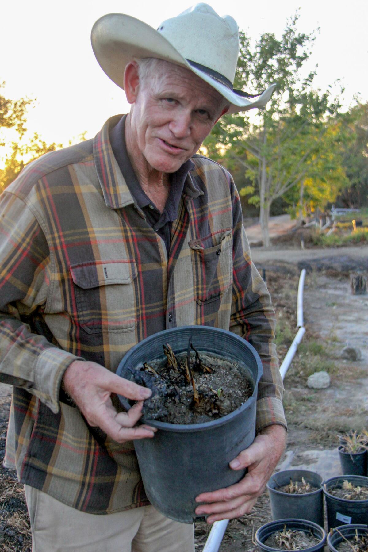 John Schoustra in a big cowboy hat and brown plaid shirt holding a pot of burned daylilies