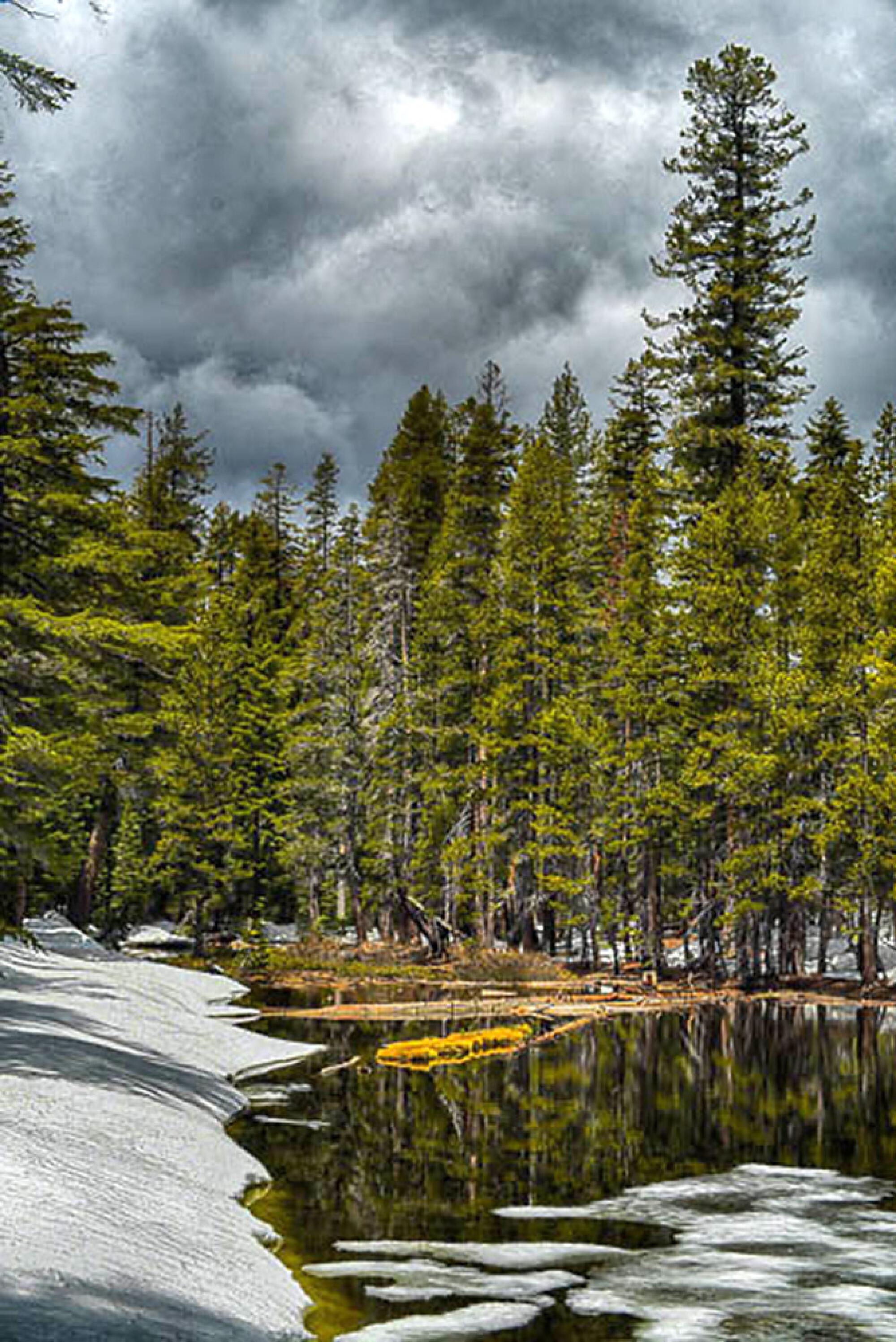 Lukens Lake is a short hike from Highway 120, or Tioga Road.