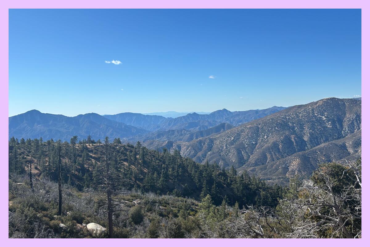 A view of nearby peaks, including Strawberry and Josephine Peaks on the left, Condor Peak and Iron Mountain on the right