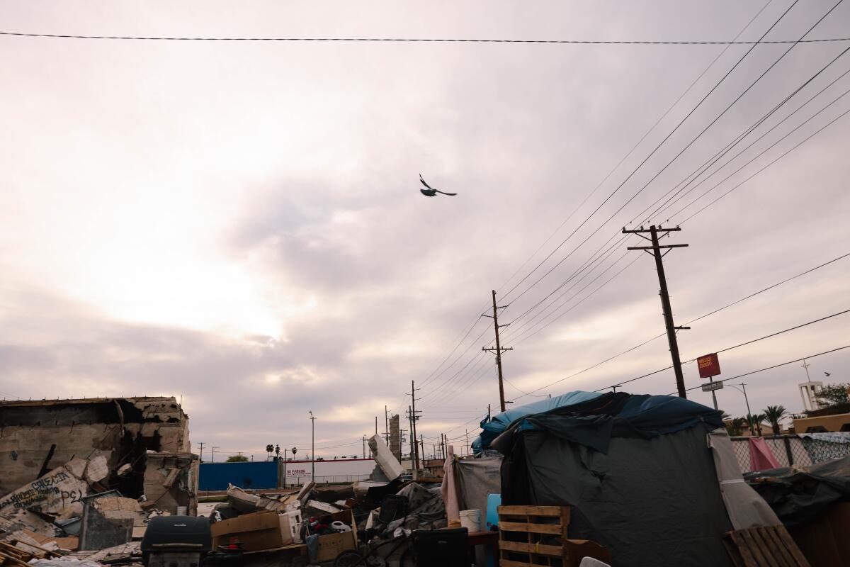 A homeless encampment in Calexico on March 25.