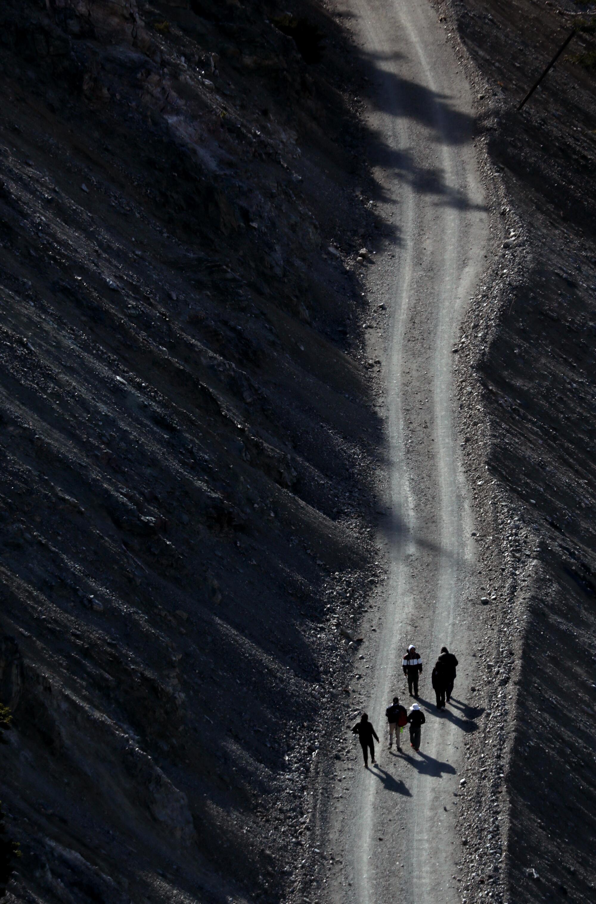 Hikers, seen from above, walk along a tree-lined mountain trail 