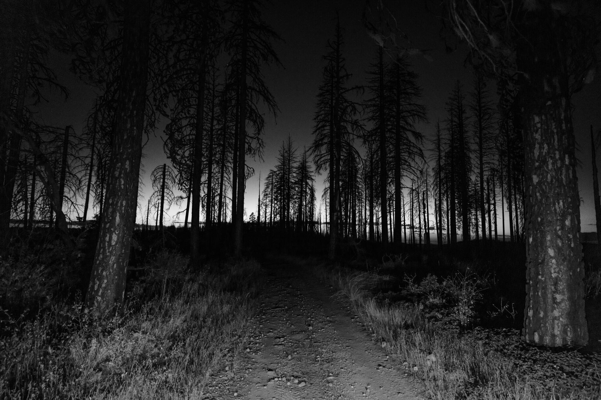 Baltic Ridge Road in Eldorado National Forest near where Debbie Galston's remains were found