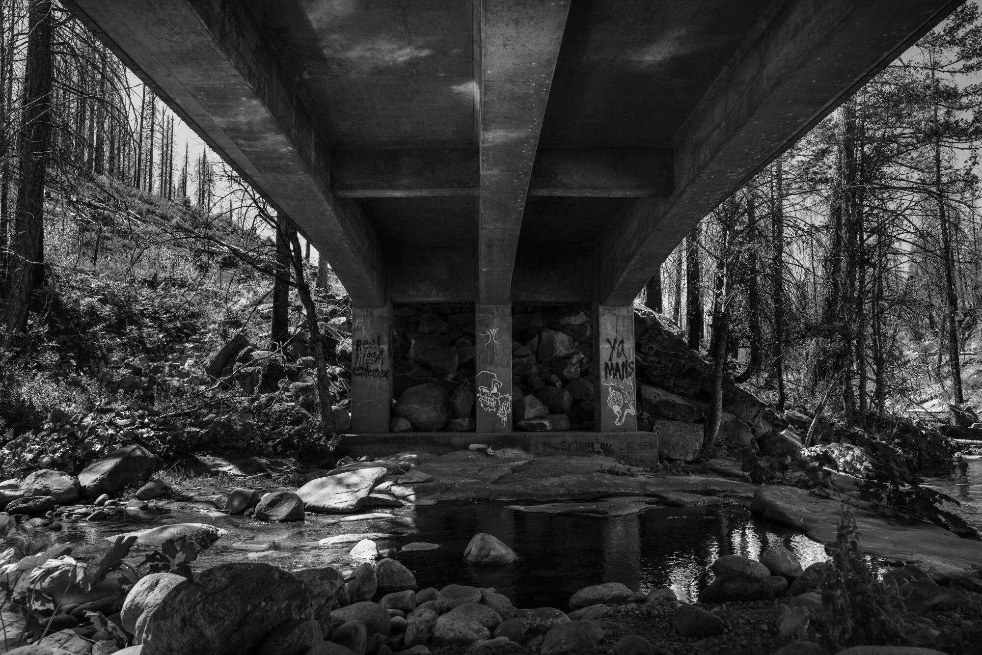 A creek in Eldorado National Forest where Debbie Galston's clothes were found.