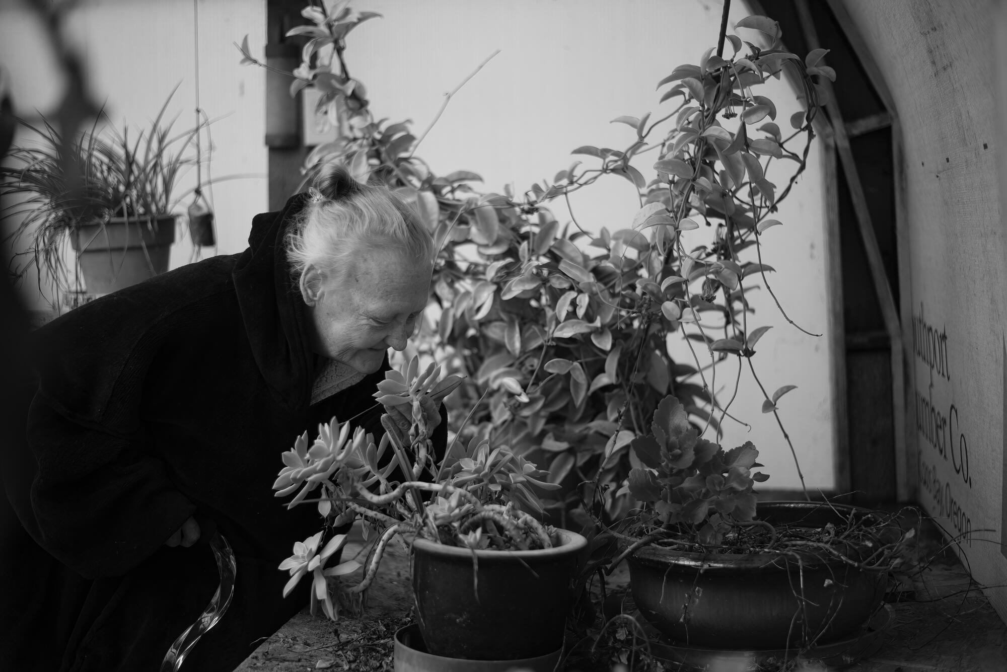 Darlene Sindle tends to plants at her home in western Oregon.